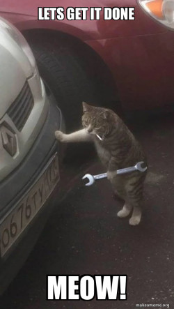 Mechanic Cat