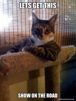 The Most Interesting Cat in the World