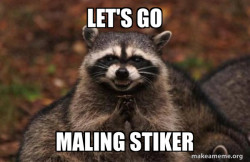 Evil Plotting Raccoon
