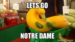 Gourd Advice Mallard