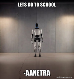 Tesla Robot