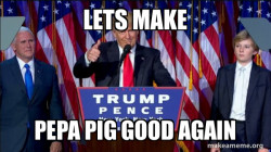 President Elect Trump
