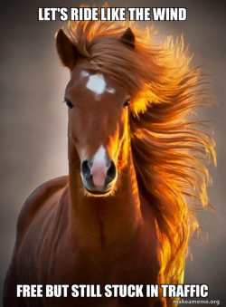 Letâs ride like the wind 