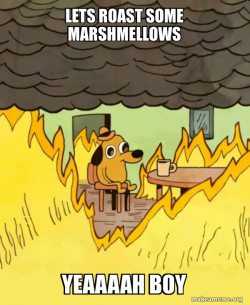 This Is Fine