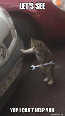 Mechanic Cat