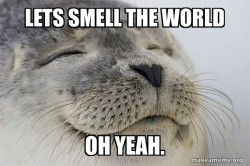 Satisfied Seal