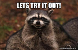Evil Plotting Raccoon