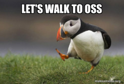 Unpopular Opinion Puffin