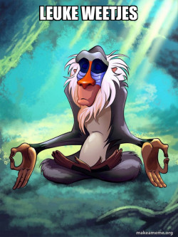 Rafiki Meditating - Lion King