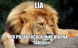 Confession Lion