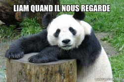 Confession Panda