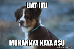Unsure Dog