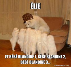 Scumbag Storytelling Dog