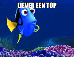 Dory from Nemo  (5 second memory)
