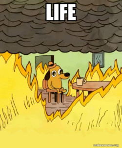 This Is Fine