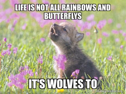 Baby Insanity Wolf