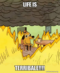 This Is Fine