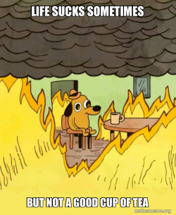 This Is Fine