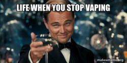 Great Gatsby Reaction - Leonardo DiCaprio Toast