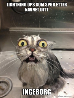 Cat bath