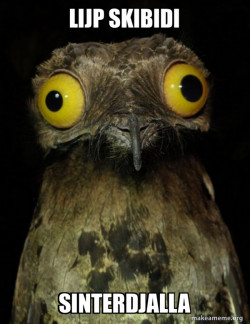 Weird Stuff I do Potoo