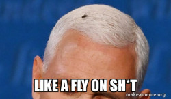 fly
