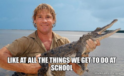 Steve irwin