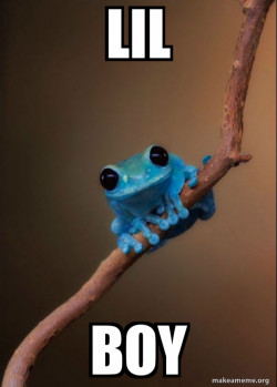 Small Fact Frog