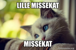 First World Cat Problems