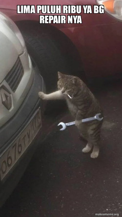 Mechanic Cat