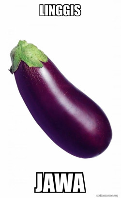 Eggplant