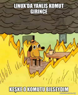 This Is Fine
