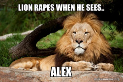 Contemplative Lion