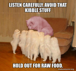 Malicious Storytelling Dog