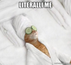 Pampered Cat Meme