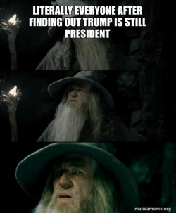 Confused Gandalf