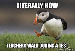 Unpopular Opinion Puffin