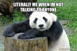 Confession Panda