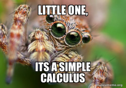Hipster Spider