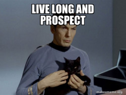Spock and Cat Meme