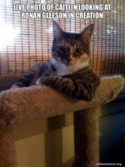 The Most Interesting Cat in the World