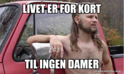 Almost Politically Correct Redneck