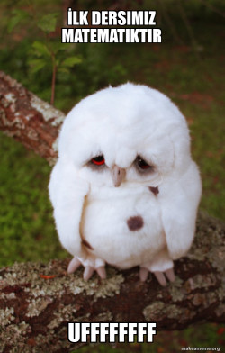 Sad Owl