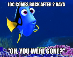 Dory from Nemo  (5 second memory)