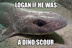 Dirty Joke Dogfish