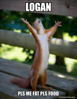 Happy Squirrel