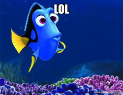 Dory from Nemo  (5 second memory)