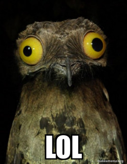 Weird Stuff I do Potoo