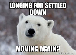 Popular Opinion Polar Bear