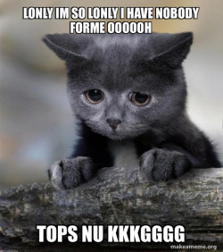 Confession Cat